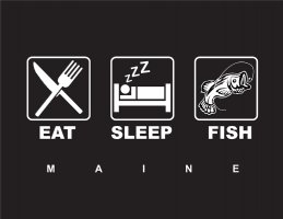 Eat Sleep Fish 