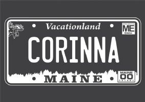 License Plate